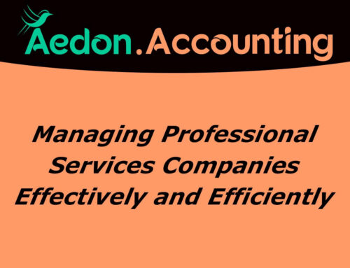 Managing Professional Services Companies Effectively & Efficiently