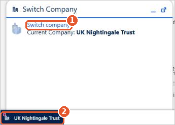 The Switch Company panel showing the current company